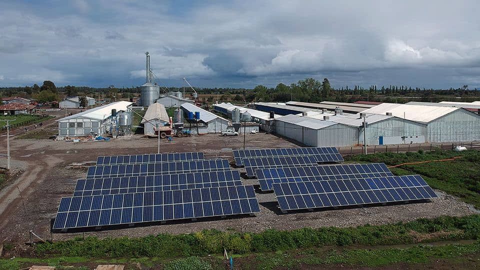 Sistemas solares para empresas agrícolas: Huevos Coliumo