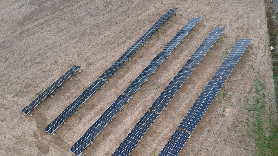 Sistemas solares para empresas agrícolas: Agrícola Curepto